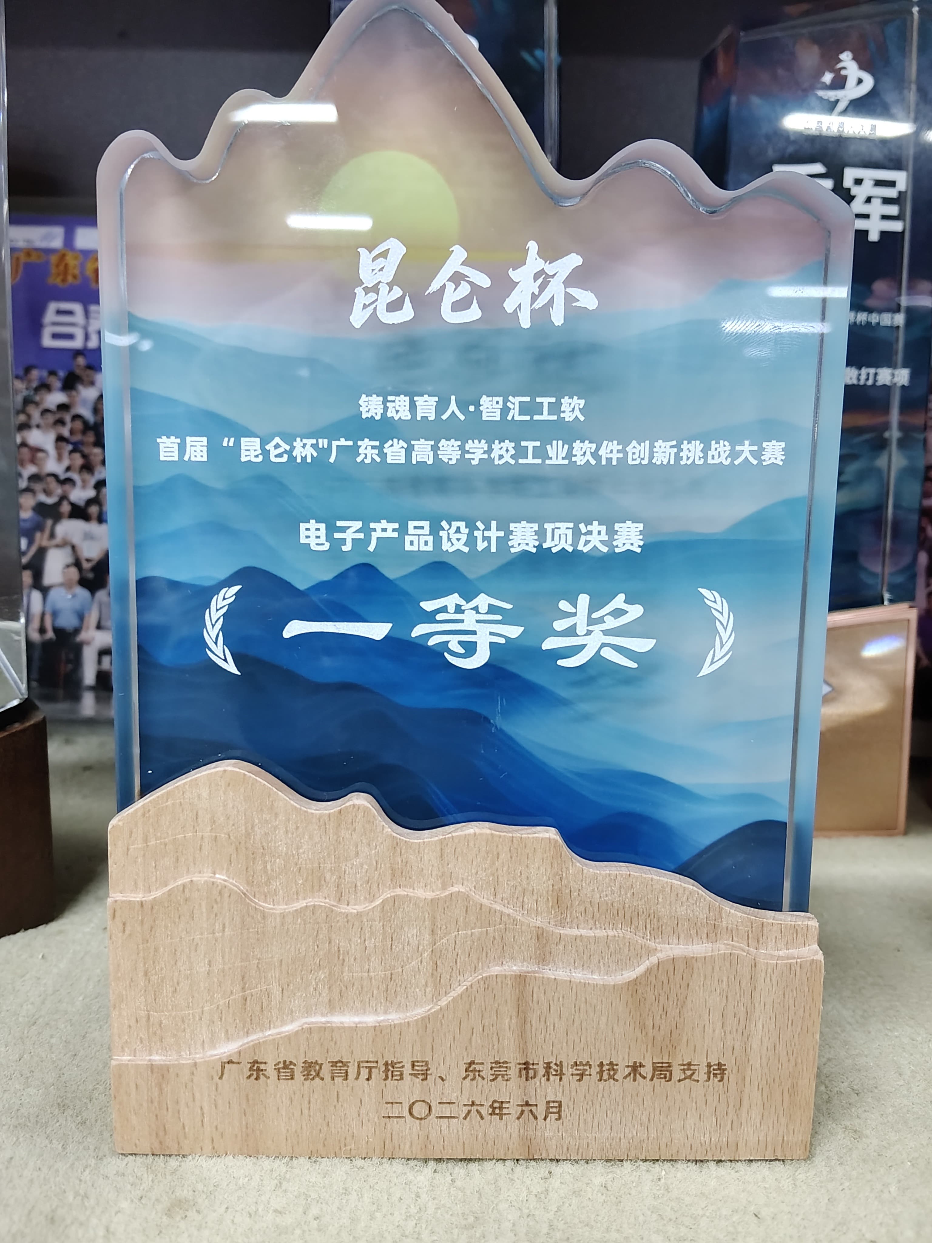 2025 中国机器人大赛武术擂台赛—仿人散打赛项（总决赛）季军 现场 / 项目